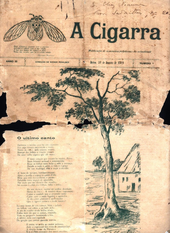 Capa de A Cigarra