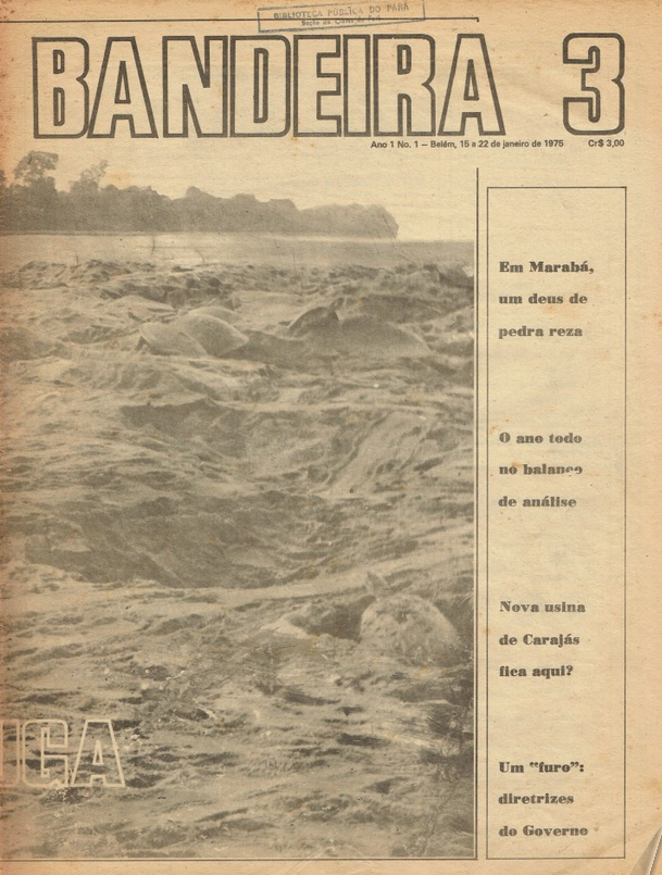 Capa de Bandeira 3