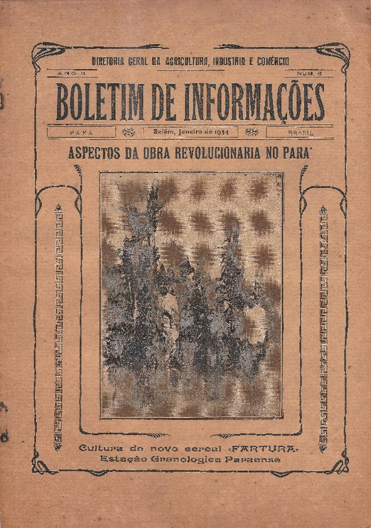 Capa de Boletim de Informações