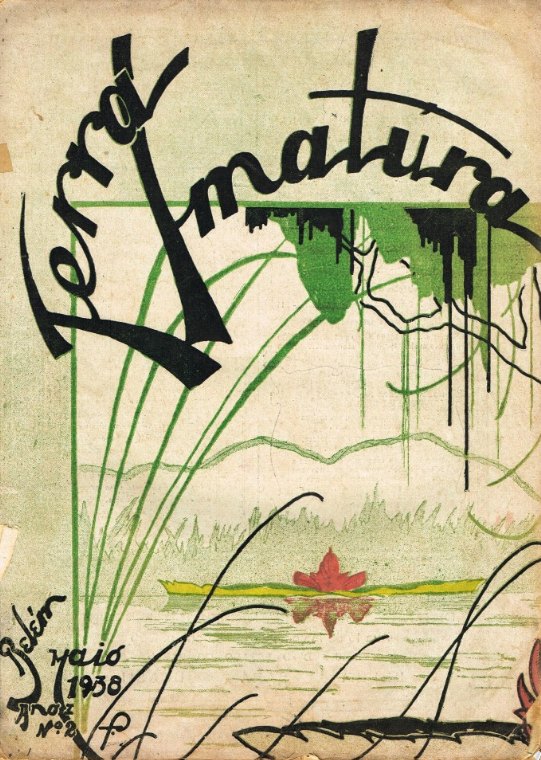 Capa de Terra Imatura